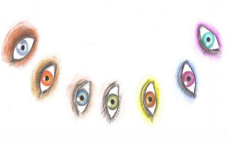 Representation of the seven eyed model of coach supervision