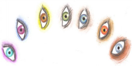 Seven Eyed Model For Coach Supervision